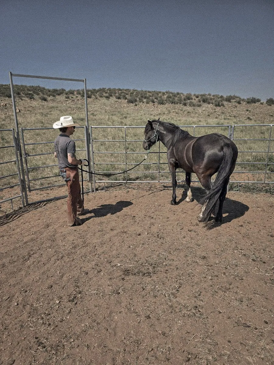 A horseman working a young horse in open Wyoming country